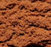 Rhodiola rosea gyökér kivonat